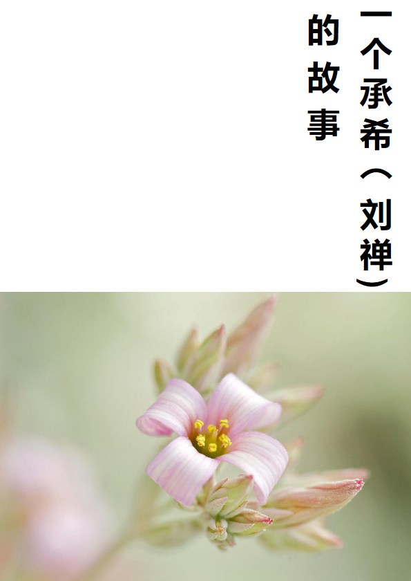 一个承希（刘禅）的故事