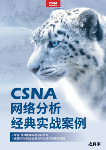CSNA网络分析经典实战案例