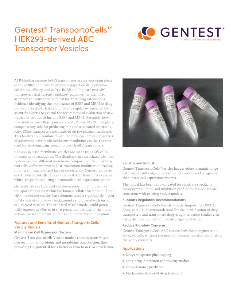 Gentest®TransportoCells™HEK293衍生的ABC转运体囊泡