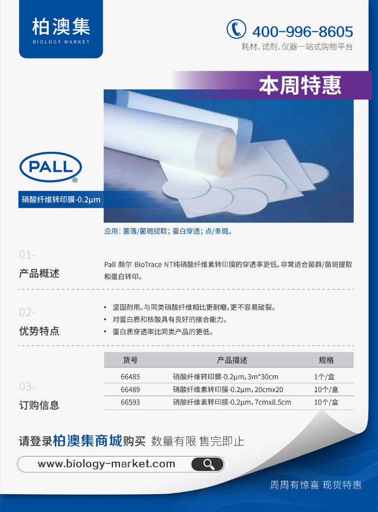 PALL 硝酸纤维转印膜0.2um