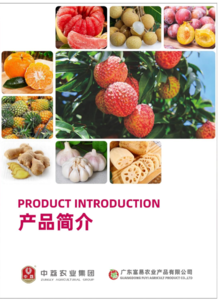 产品画册 Company Introduction -Zungly Group