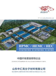 Catalog-HPMC HEMC HEC-Shandong Zhonghui-V2-7