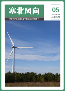 呼伦贝尔风电公司科技专刊第五期