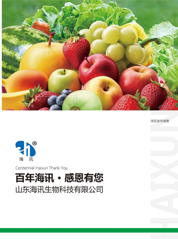 2024年海讯宣传手册