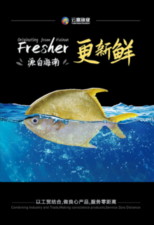 海南云富渔业宣传册