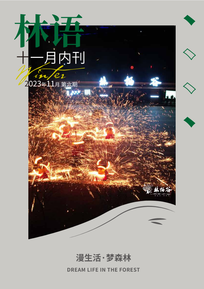 林语11月内刊