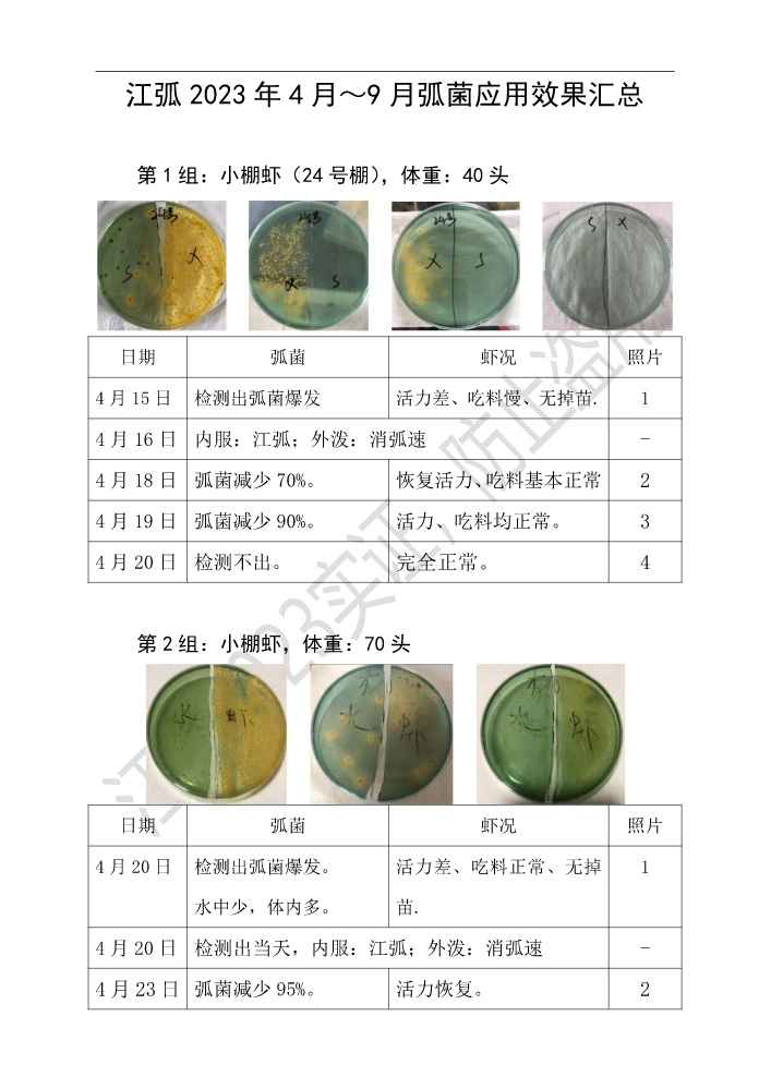 江弧试验数据整理