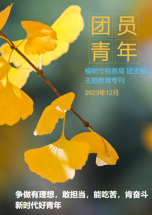 榆树市税务局团员和青年主题教育活动专刊