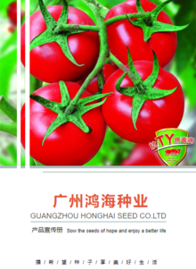 广州鸿海种业产品宣传册