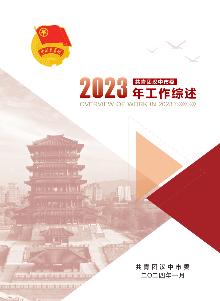 工作综述2024