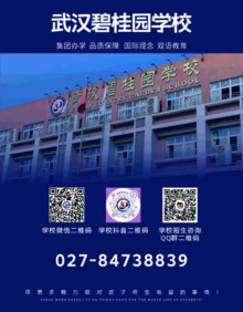 武汉碧桂园学校：集团办学  品质保障   国际理念  双语教育