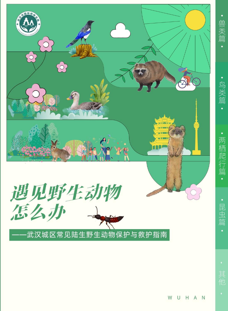 武汉城区常见野生动物保护与救护指南