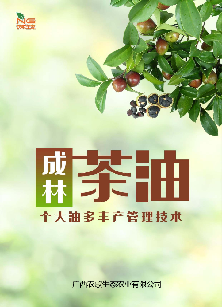 （茶油树）丰产种植技术