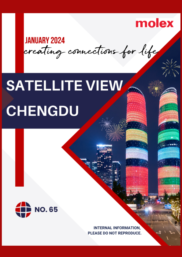 Satellite View Chengdu- NO. 65