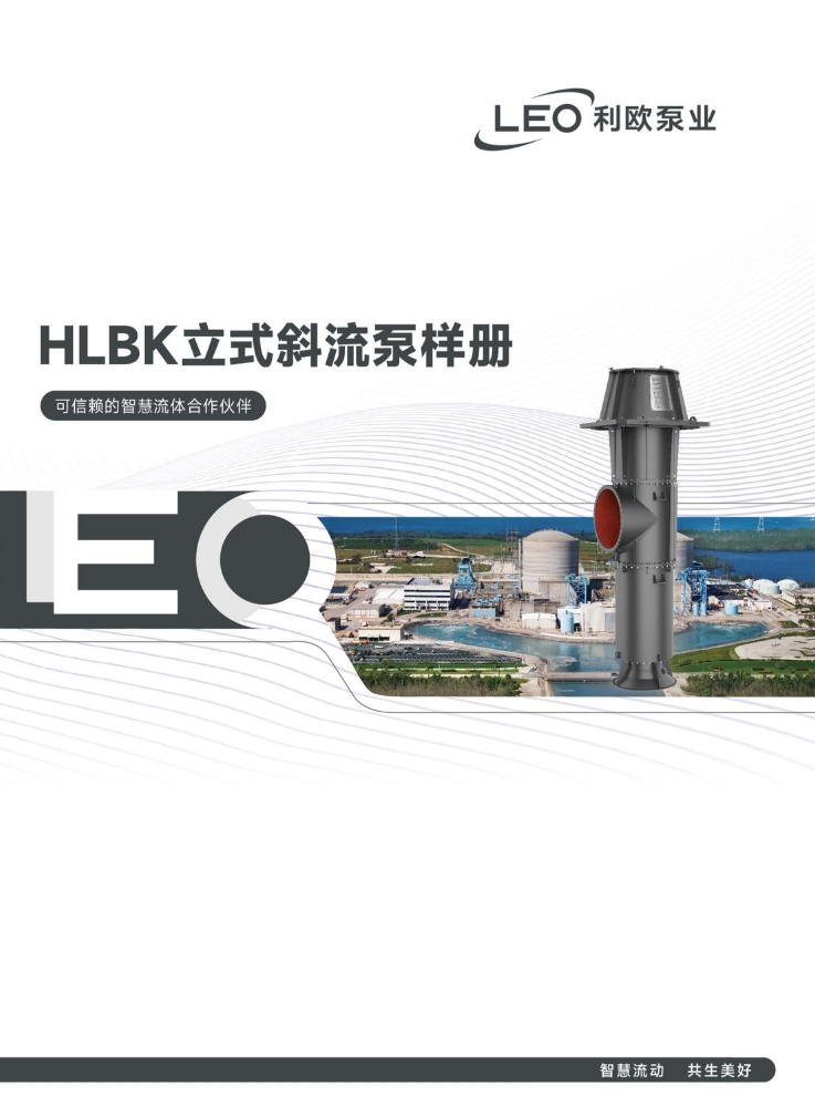 HLBK立式斜流泵样册