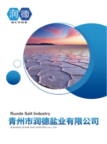 青州市润德盐业有限公司企业宣传手册