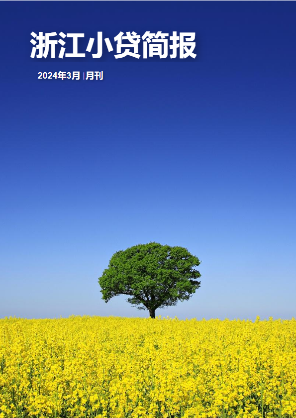 浙江小贷简报-2024年3月刊