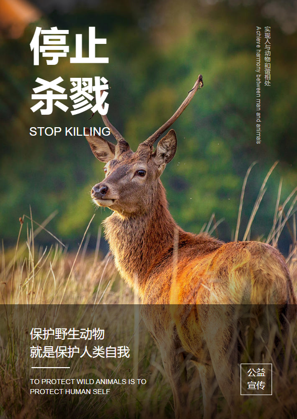 停止杀戮保护动物公益宣传杂志