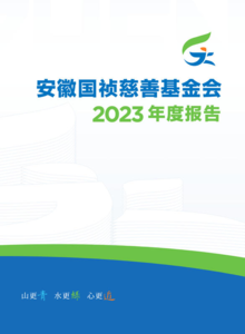安徽国祯慈善基金会2023年度报告