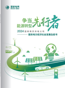 《争当能源转型先行者——2024国网南京供电公司服务地方经济社会发展白皮书》