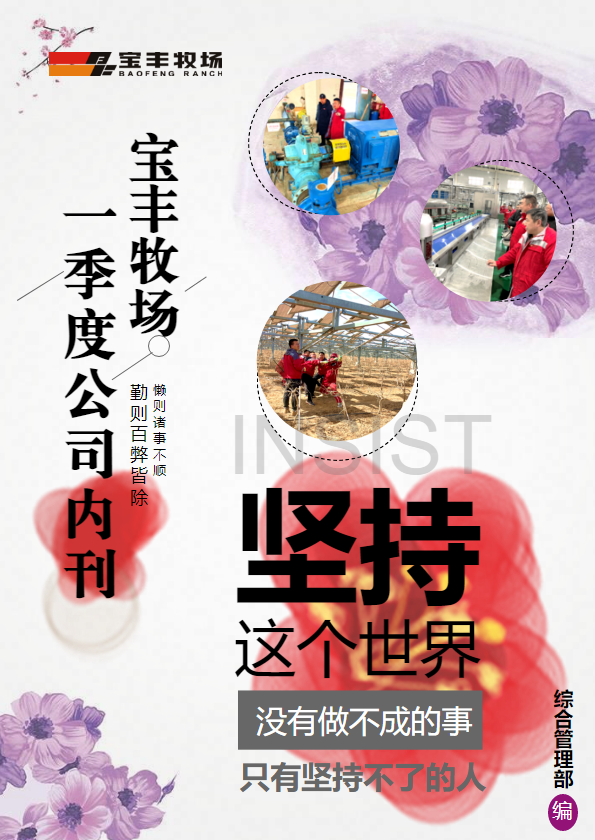 宝丰牧场2024一季度公司内刊