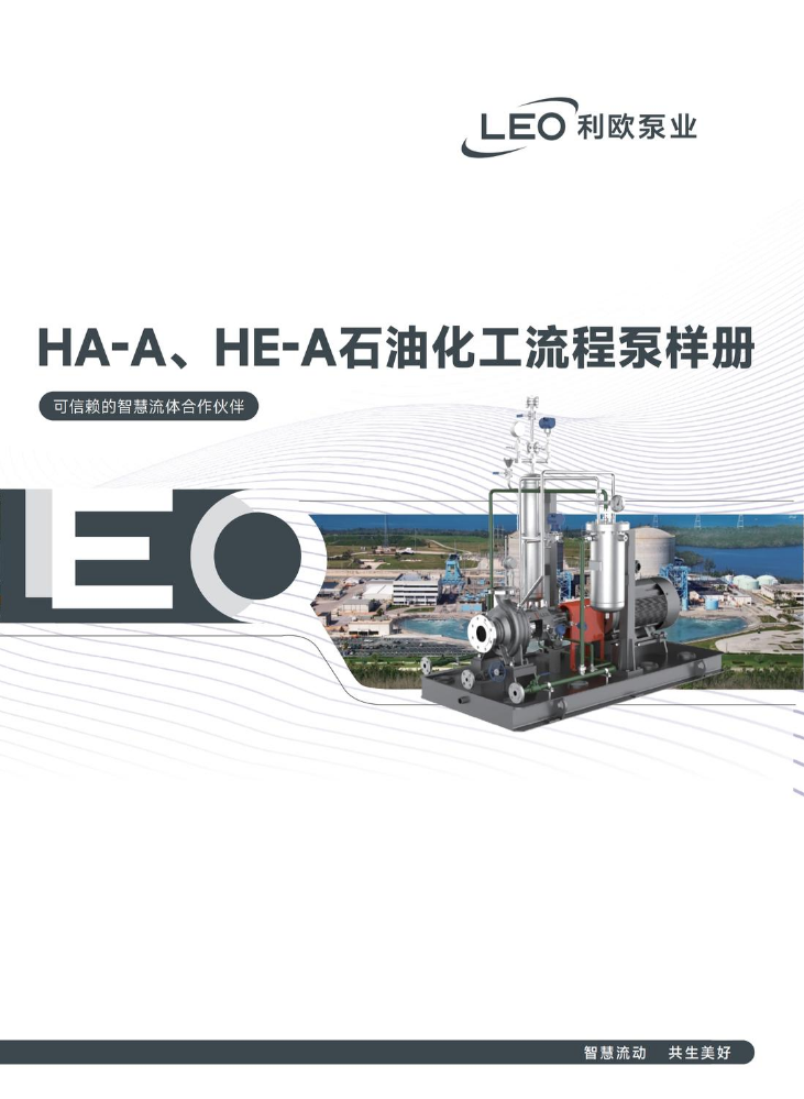 HA-A、HE-A石油化工流程泵样册