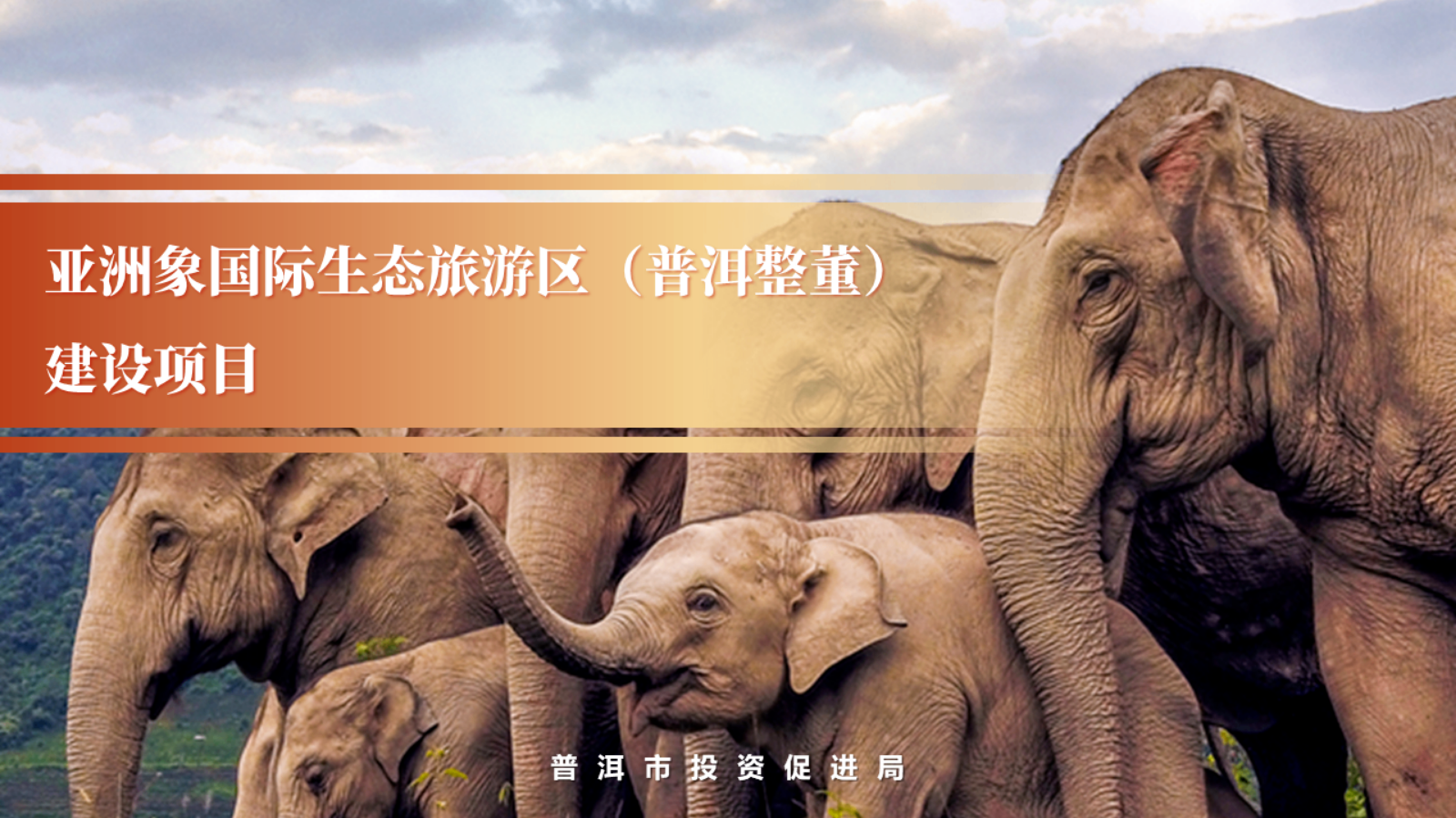 亚洲象国际生态旅游区（普洱整董）建设项目（PPT）