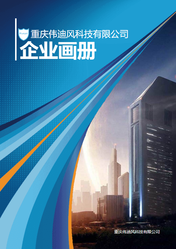 重庆伟迪风科技有限公司