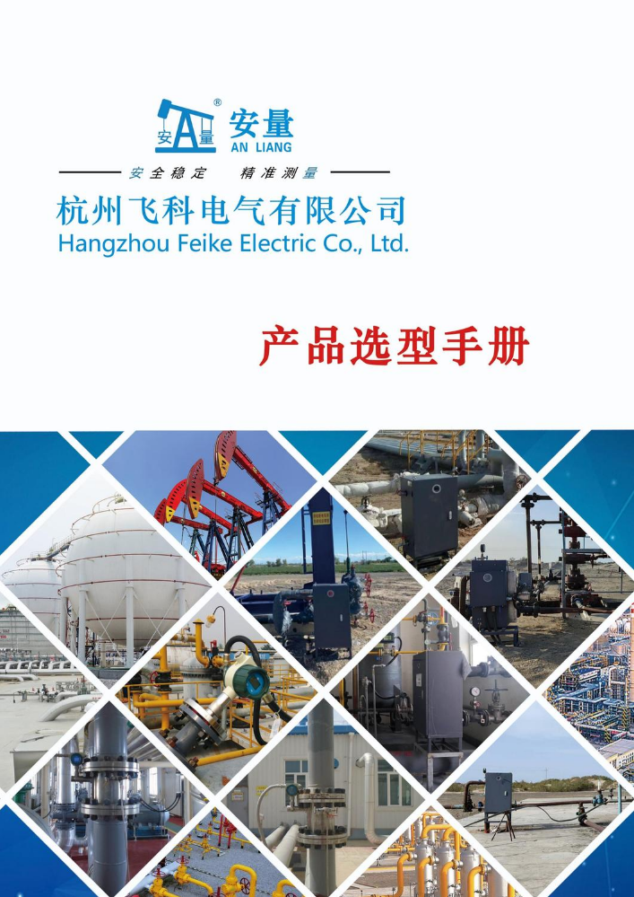 产品选型样册-杭州飞科电气2024