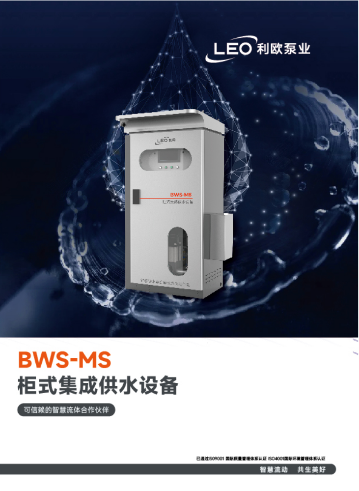 BWS-MS柜式集成供水设备