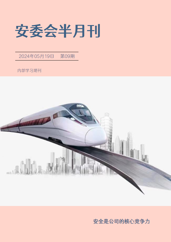 安委会半月刊（第9期）