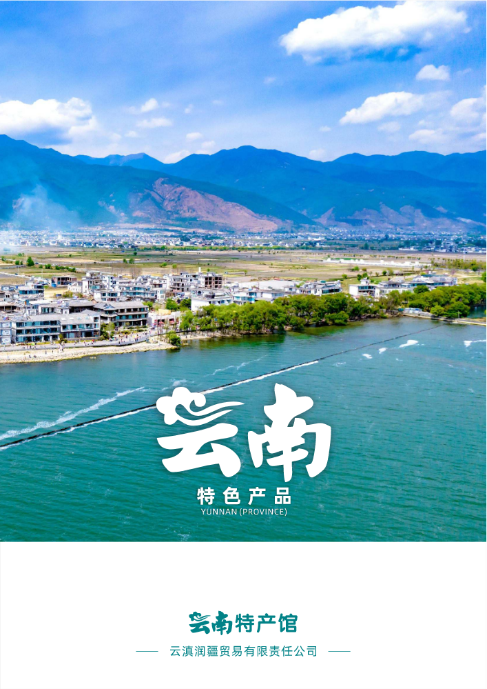 云南特色产品手册