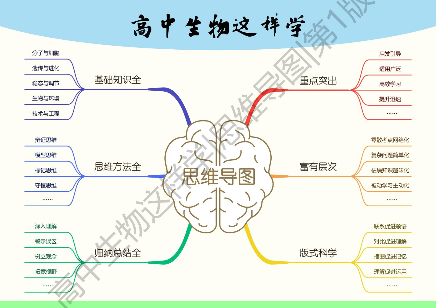 高中生物思维导图彩色版