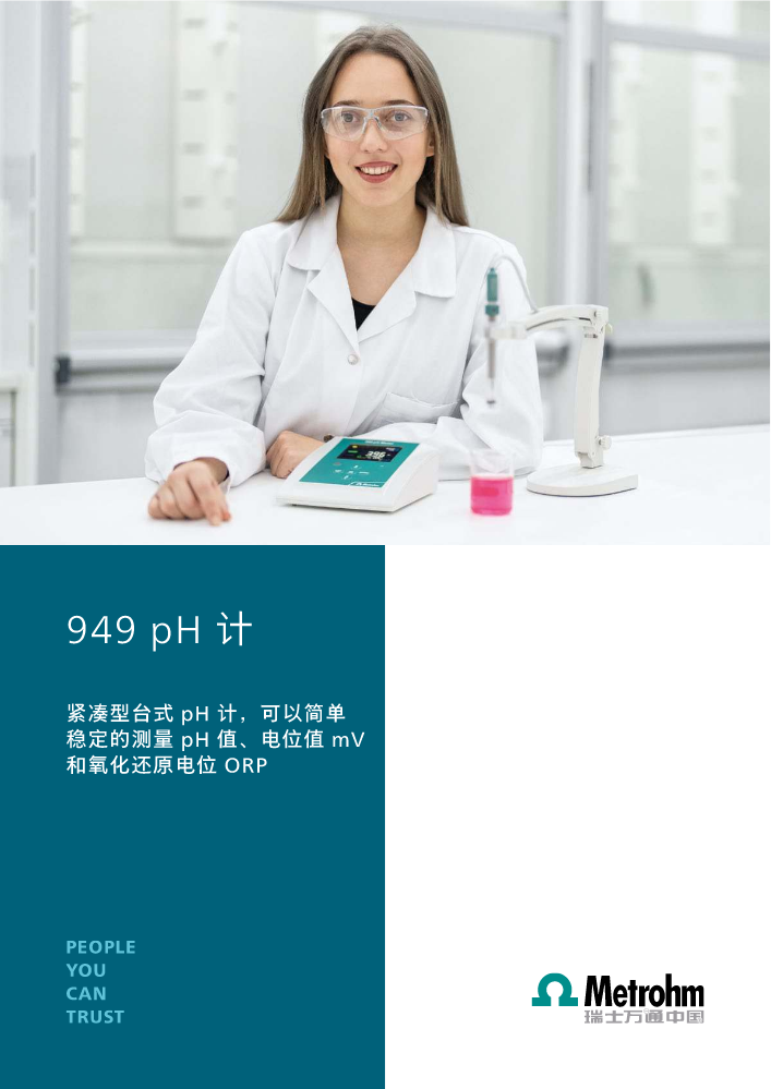 949 pH 计