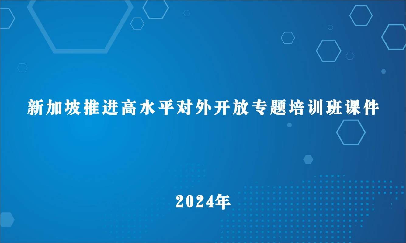 2024年新加坡推进高水平对外开放专题培训班课件