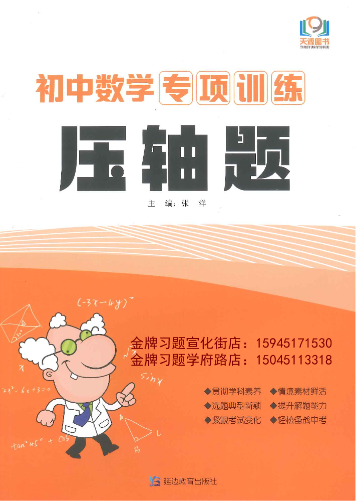 2020天源初中数学专项训练（压轴题）