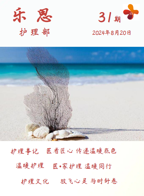 乐思第31期