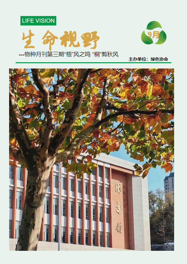 物种月刊-梧桐