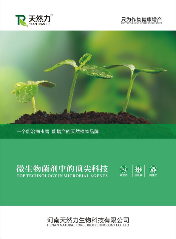 2024河南天然力生物科技公司产品手册