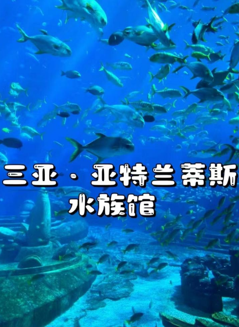 亚特兰蒂斯水族馆1日游