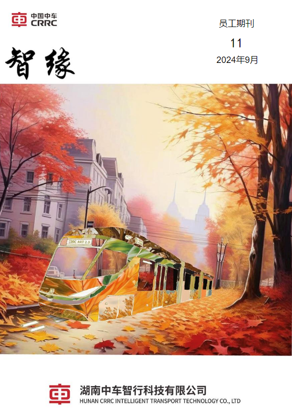 智缘第11期