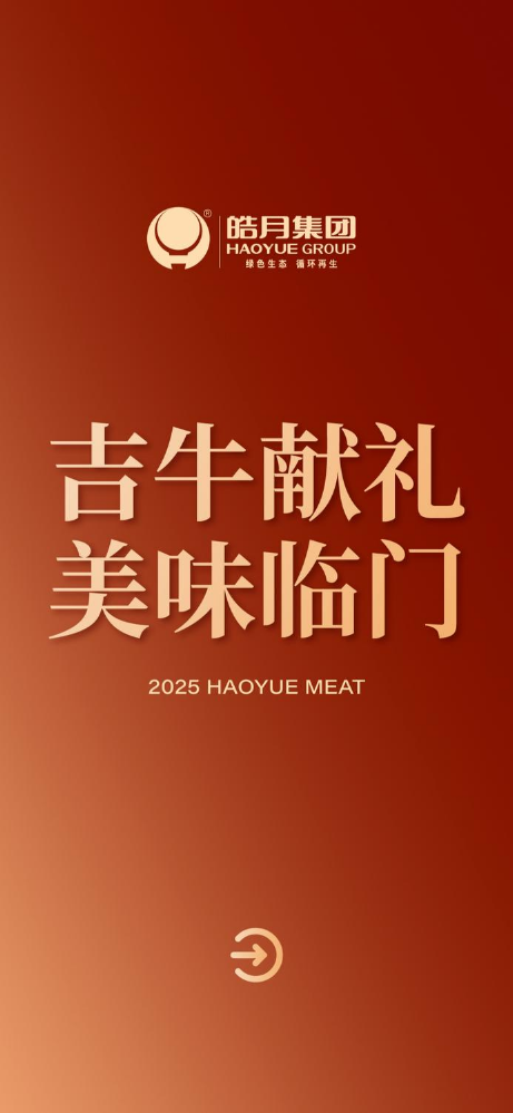 皓月集团2025生品礼盒产品（简）