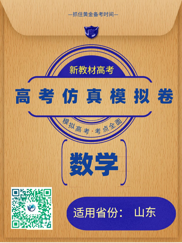 山东省2025届高考仿真模拟卷数学样卷