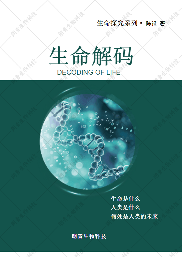 生命解码