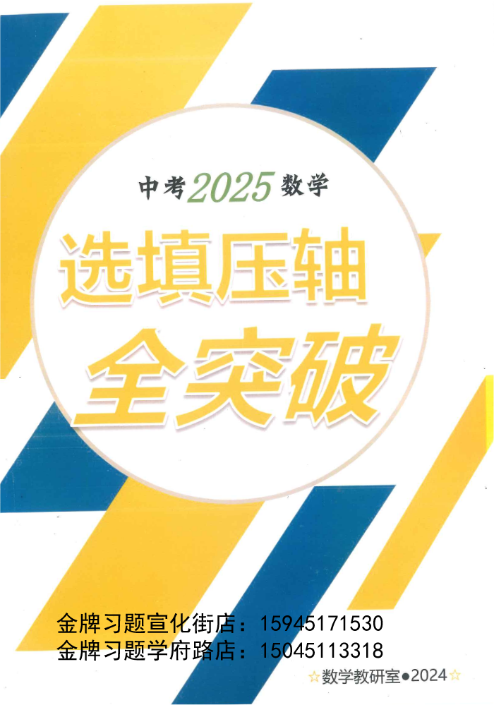 中考2025数学选填压轴全突破（数学教研室2024）（教师版）