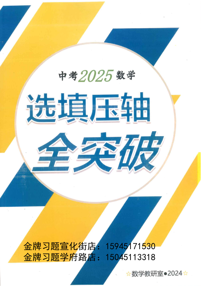 中考2025数学选填压轴全突破（数学教研室2024）（学生版）