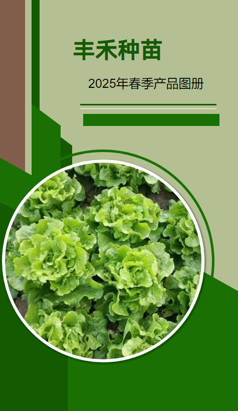 丰禾种苗2026年春季产品图册