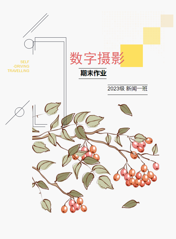 数字摄影期末作业