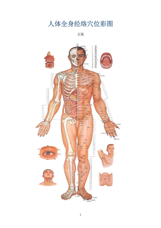 人体全身经络穴位彩图