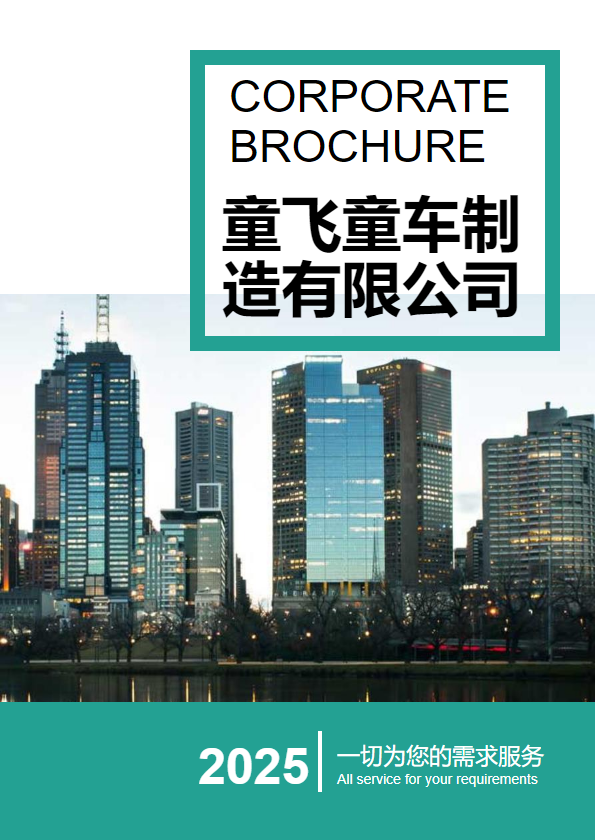 童飞童车制造有限公司